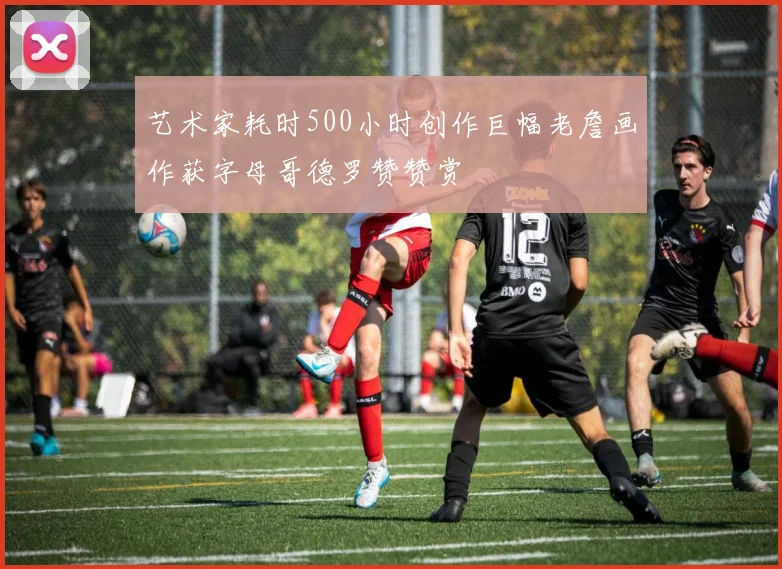 艺术家耗时500小时创作巨幅老詹画作获字母哥德罗赞赞赏