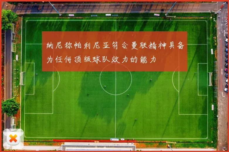 纳尼称帕利尼亚符合曼联精神具备为任何顶级球队效力的能力