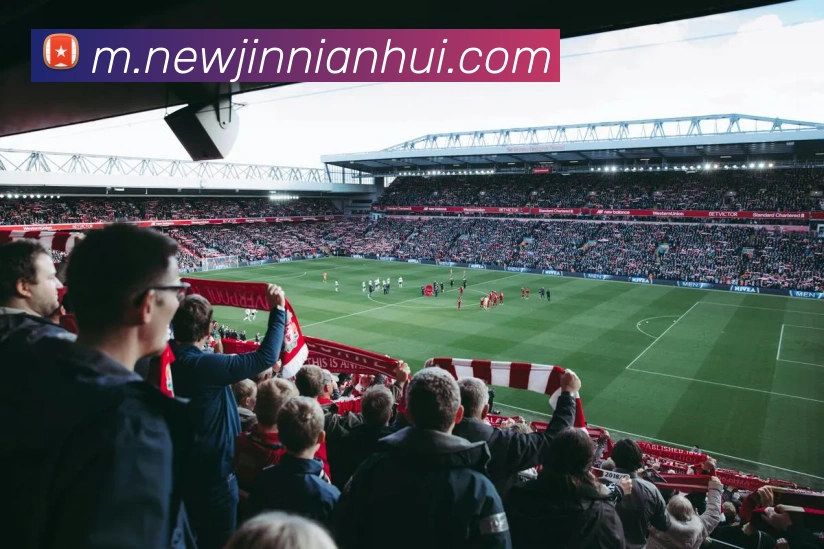 多媒体互动体验